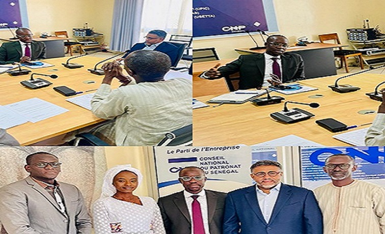 Visite de courtoisie du Directeur Général de l’Emploi au CNP